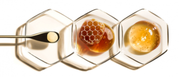 Honey Art